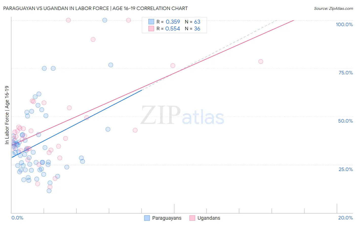 Paraguayan vs Ugandan In Labor Force | Age 16-19