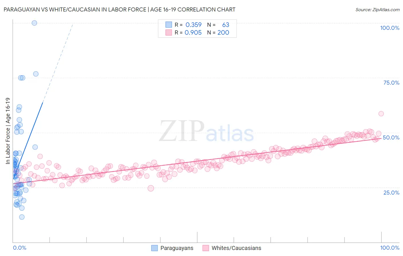 Paraguayan vs White/Caucasian In Labor Force | Age 16-19