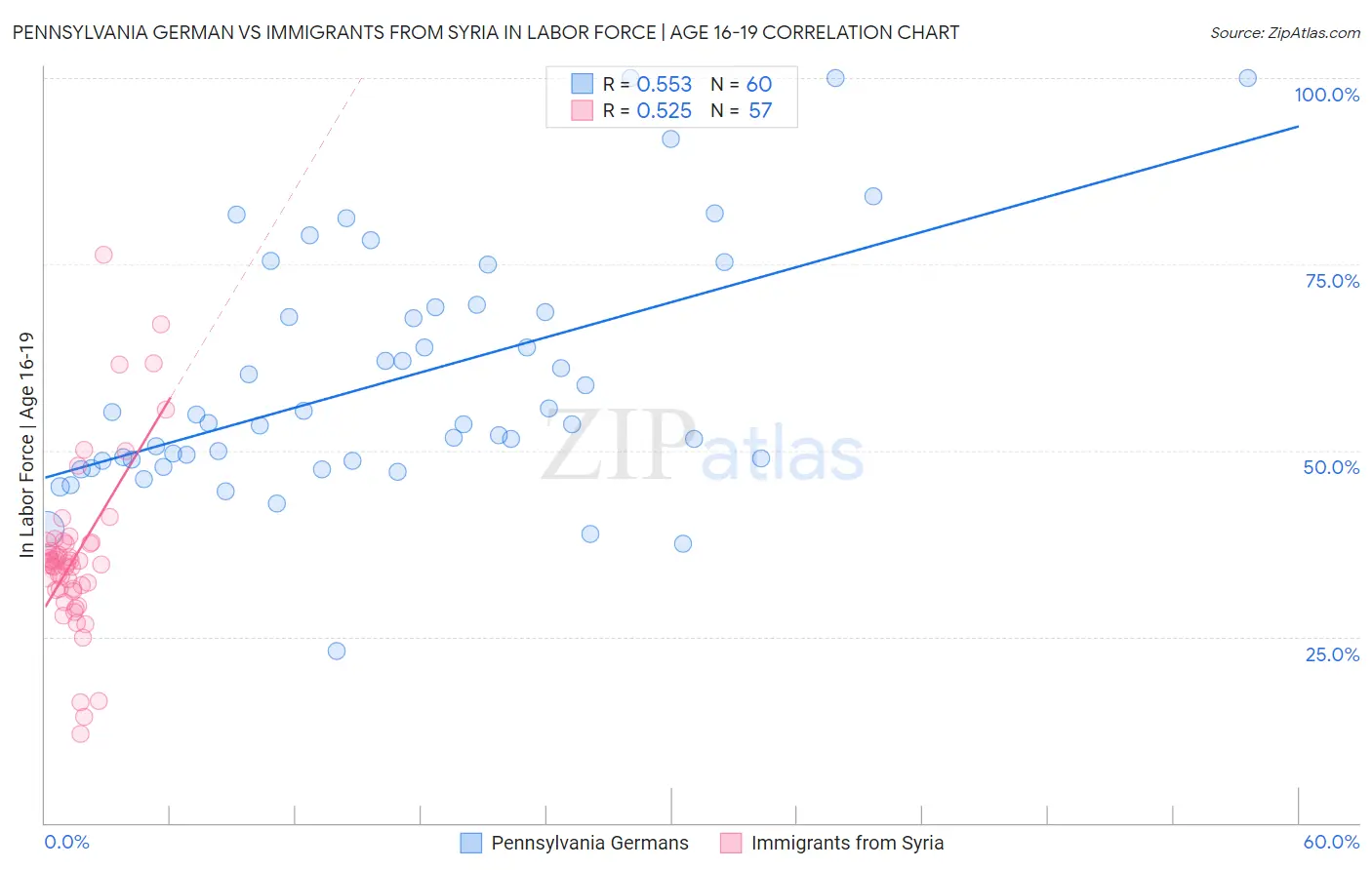 Pennsylvania German vs Immigrants from Syria In Labor Force | Age 16-19