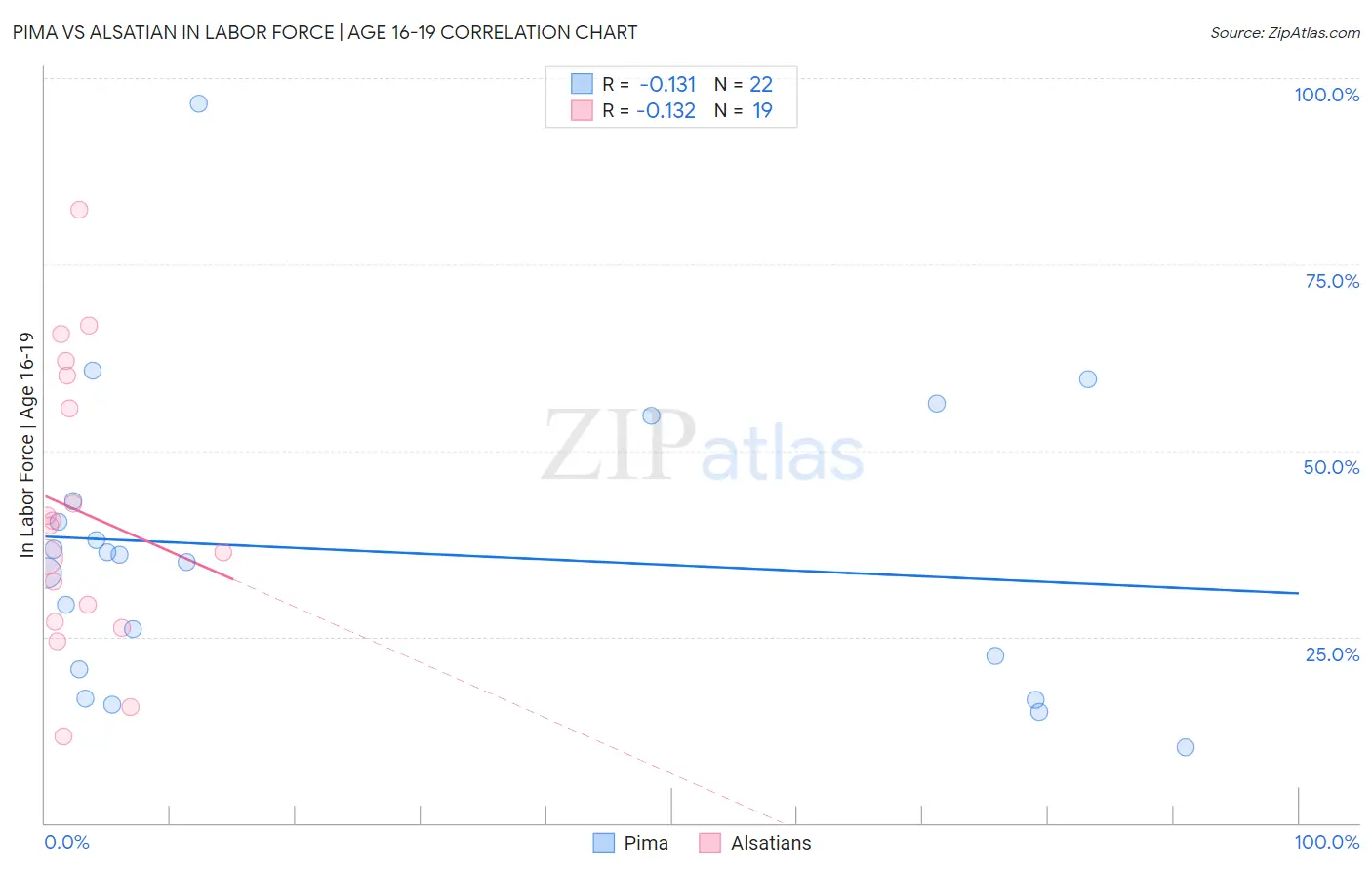 Pima vs Alsatian In Labor Force | Age 16-19