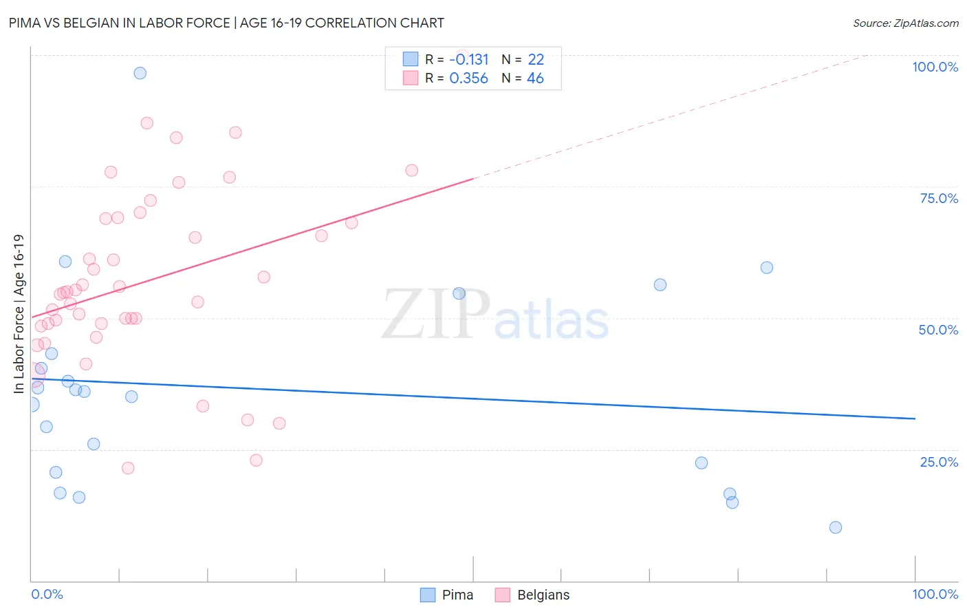 Pima vs Belgian In Labor Force | Age 16-19