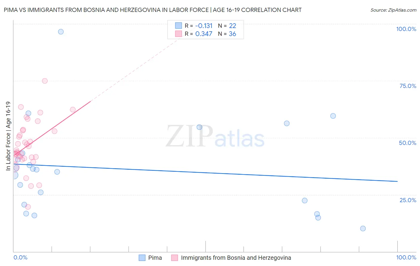 Pima vs Immigrants from Bosnia and Herzegovina In Labor Force | Age 16-19