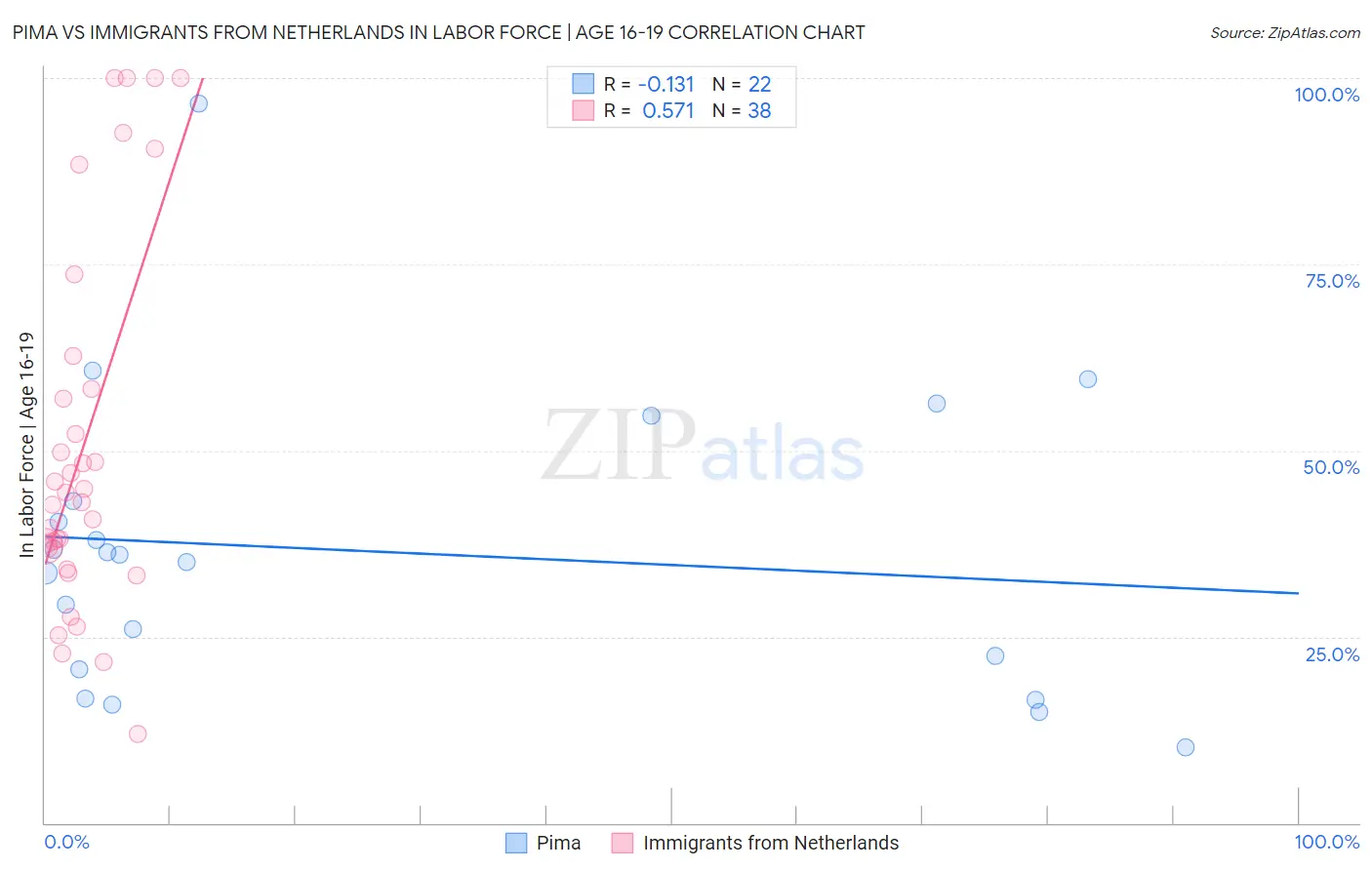 Pima vs Immigrants from Netherlands In Labor Force | Age 16-19