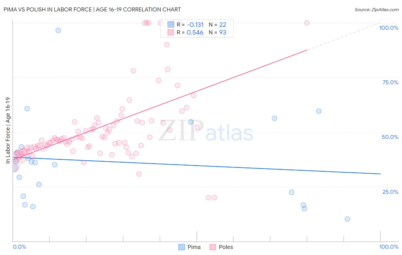 Pima vs Polish In Labor Force | Age 16-19