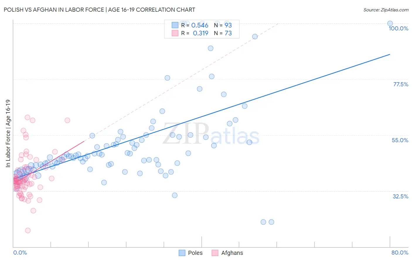 Polish vs Afghan In Labor Force | Age 16-19