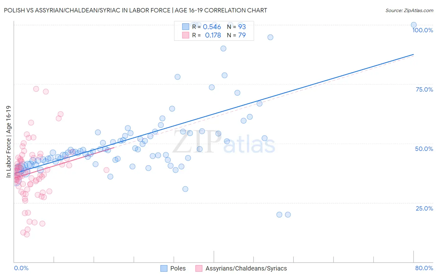 Polish vs Assyrian/Chaldean/Syriac In Labor Force | Age 16-19