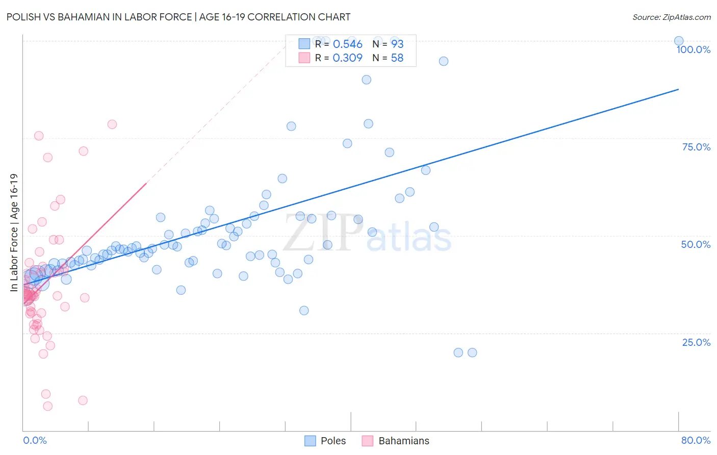 Polish vs Bahamian In Labor Force | Age 16-19