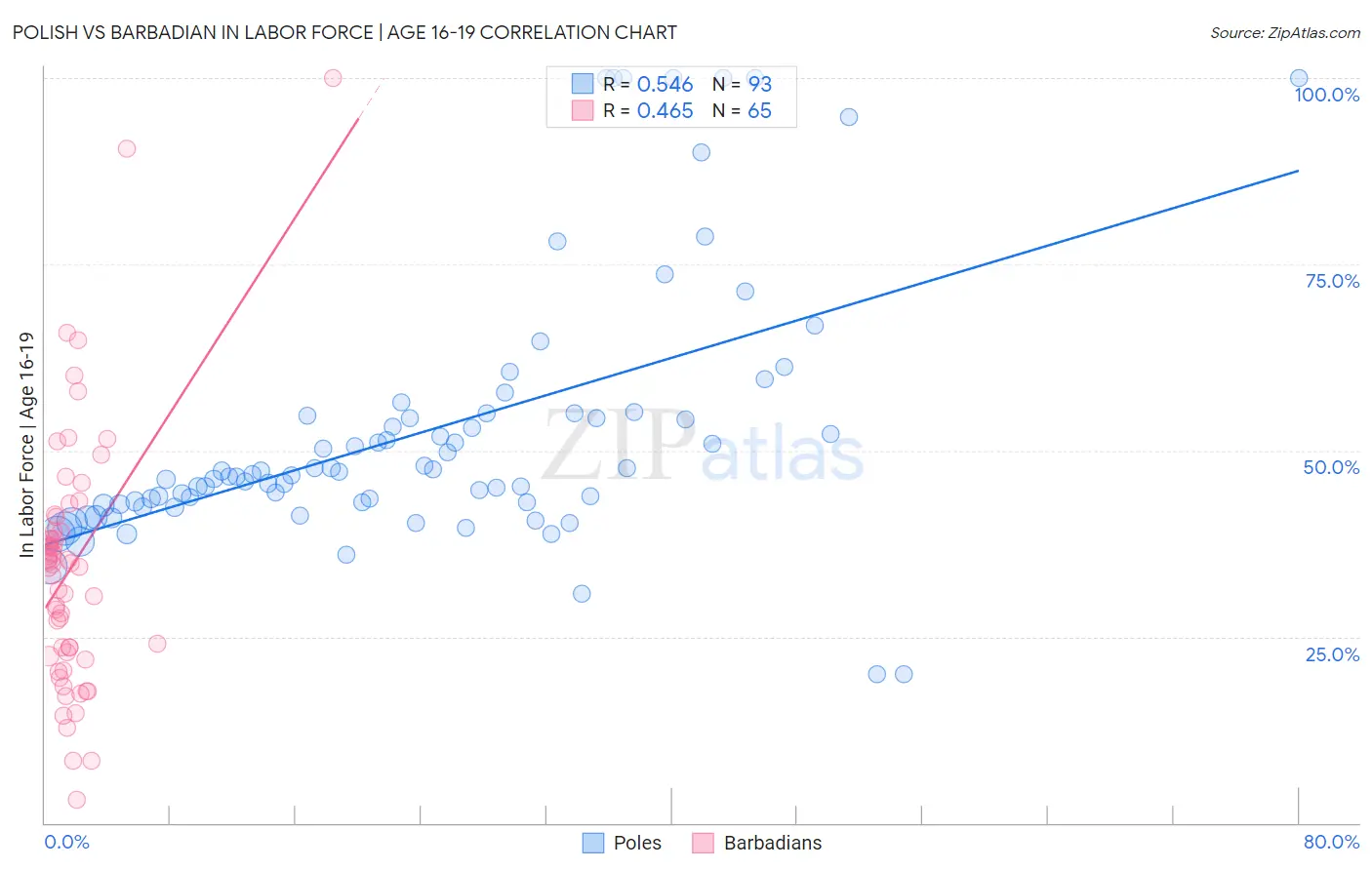 Polish vs Barbadian In Labor Force | Age 16-19
