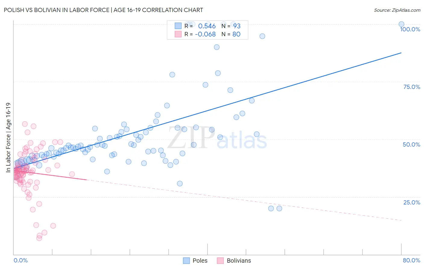 Polish vs Bolivian In Labor Force | Age 16-19