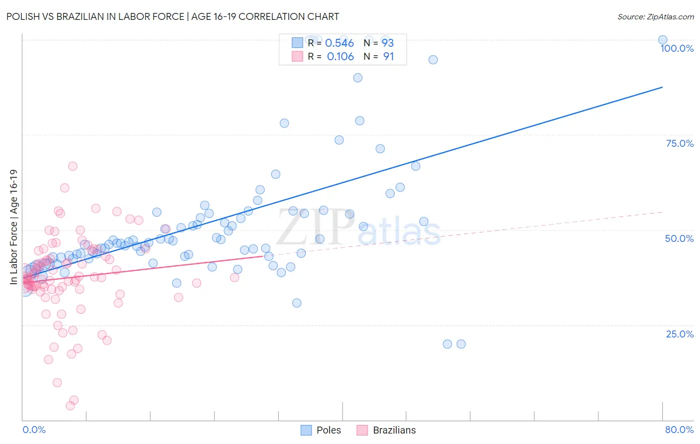 Polish vs Brazilian In Labor Force | Age 16-19