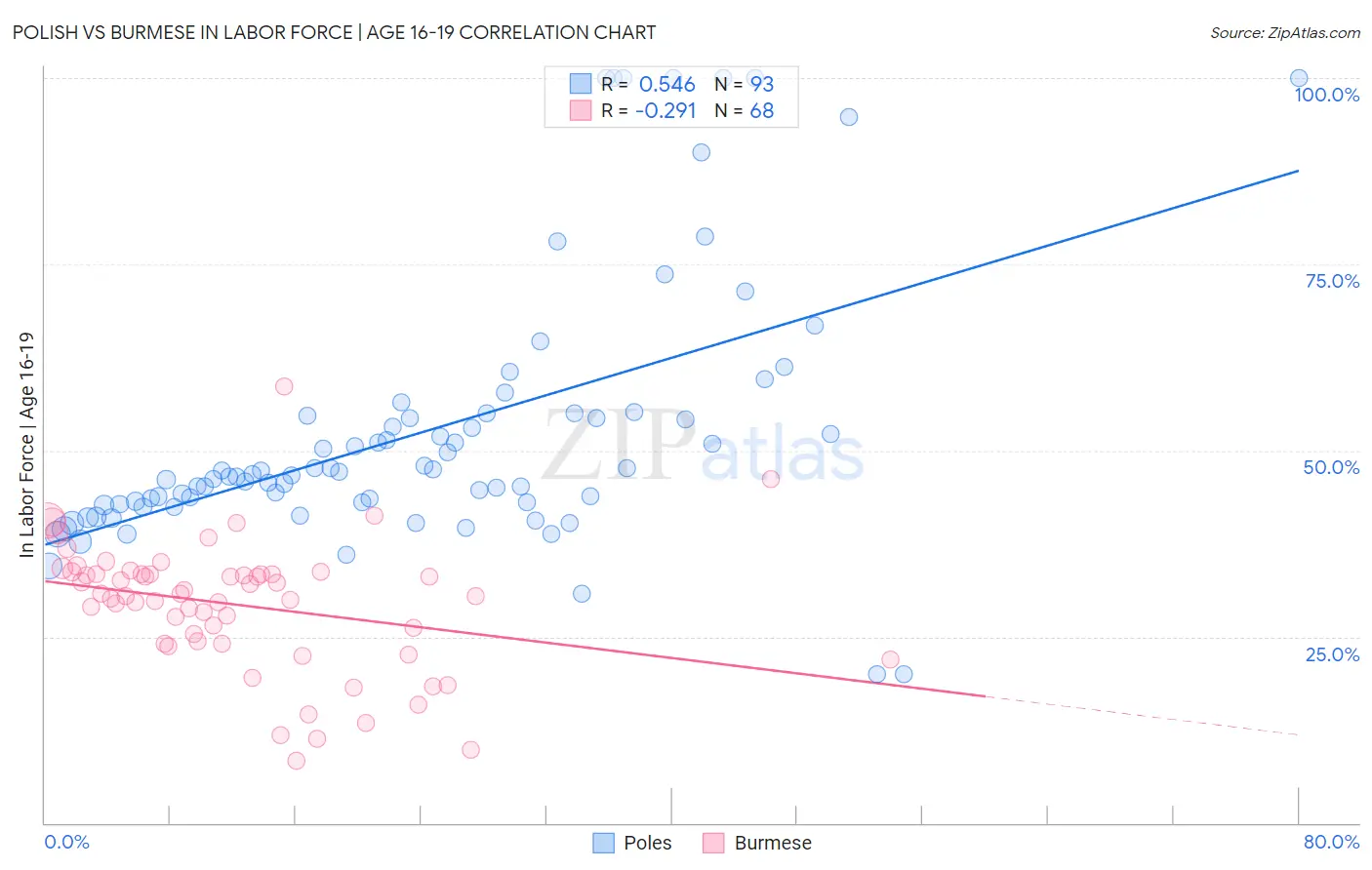 Polish vs Burmese In Labor Force | Age 16-19