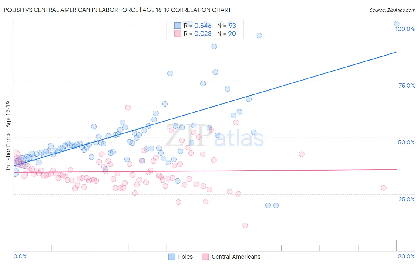 Polish vs Central American In Labor Force | Age 16-19