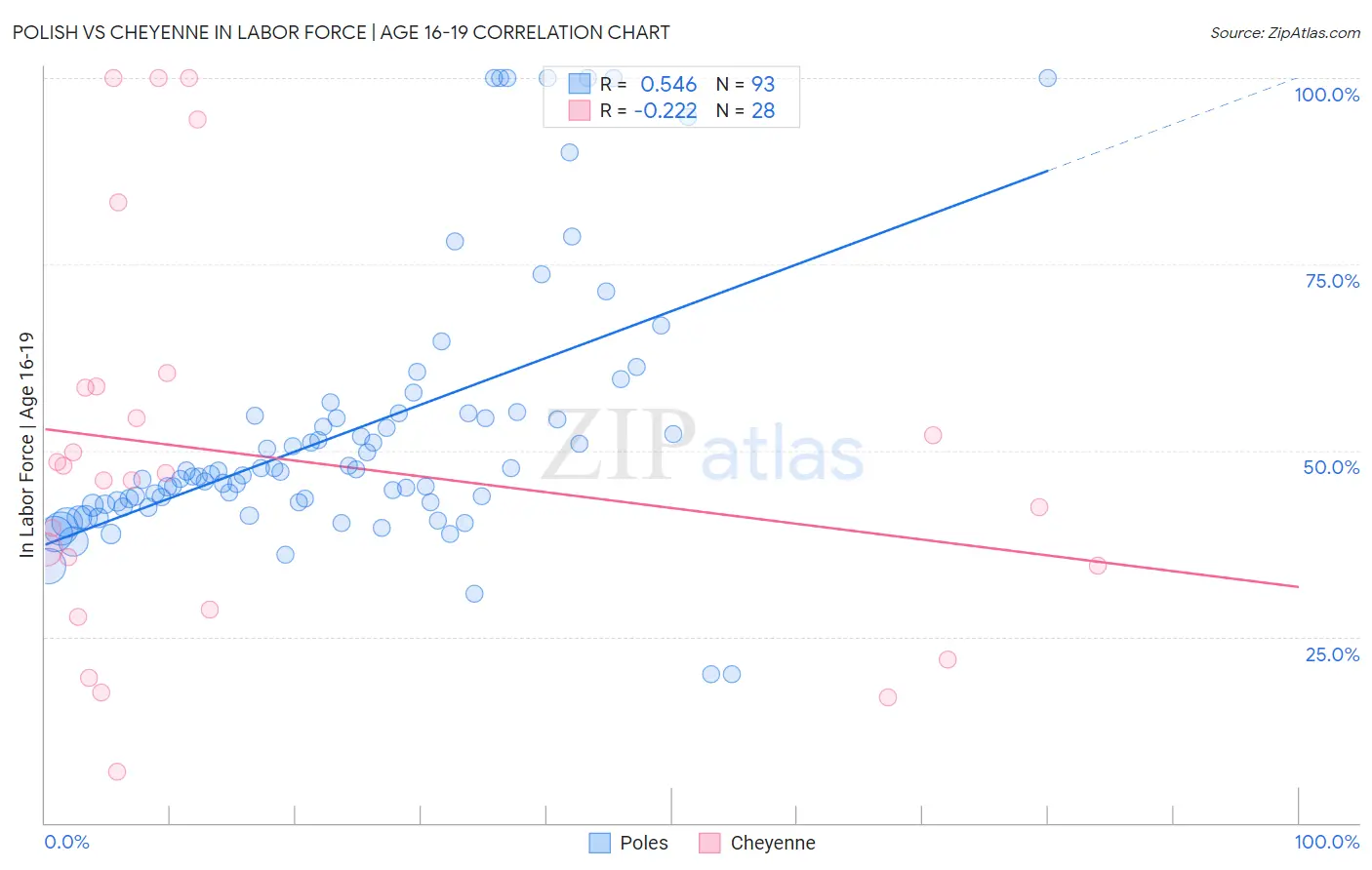Polish vs Cheyenne In Labor Force | Age 16-19