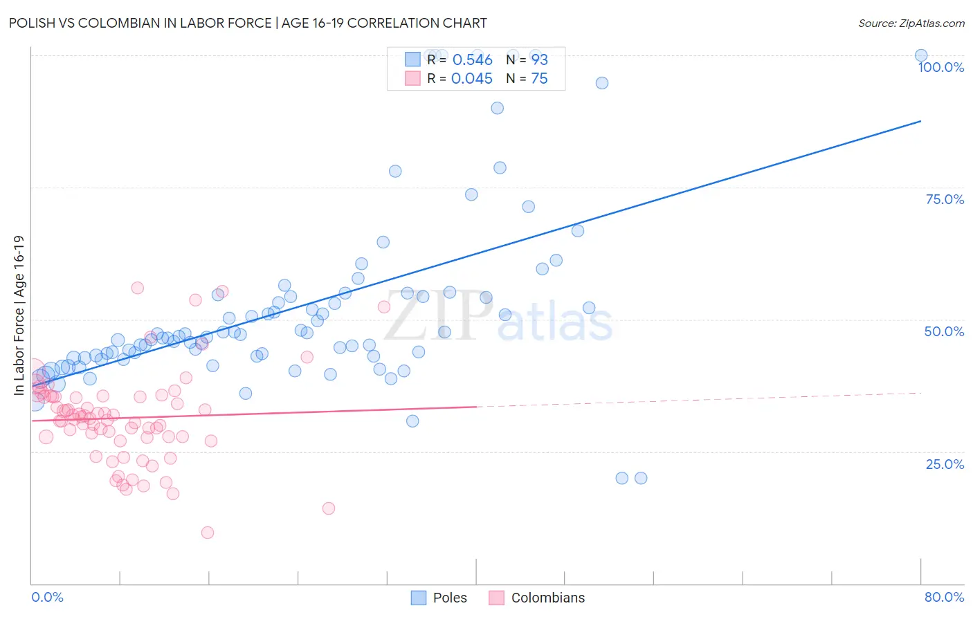 Polish vs Colombian In Labor Force | Age 16-19