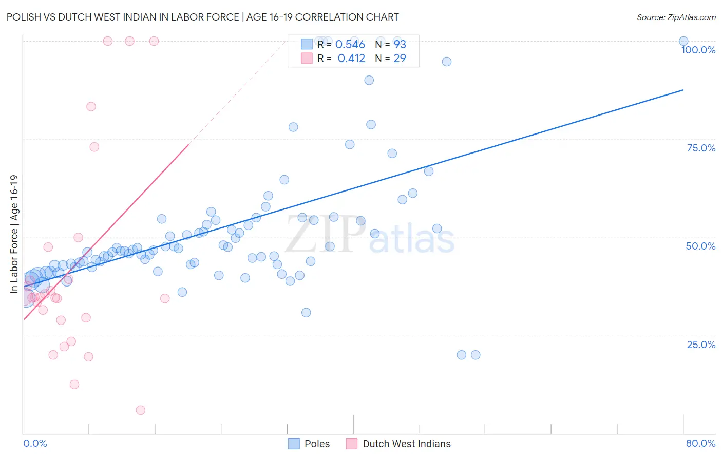 Polish vs Dutch West Indian In Labor Force | Age 16-19