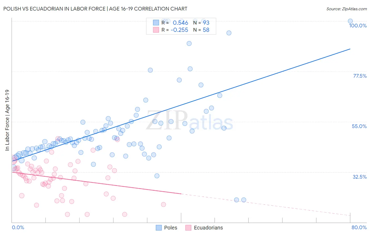 Polish vs Ecuadorian In Labor Force | Age 16-19