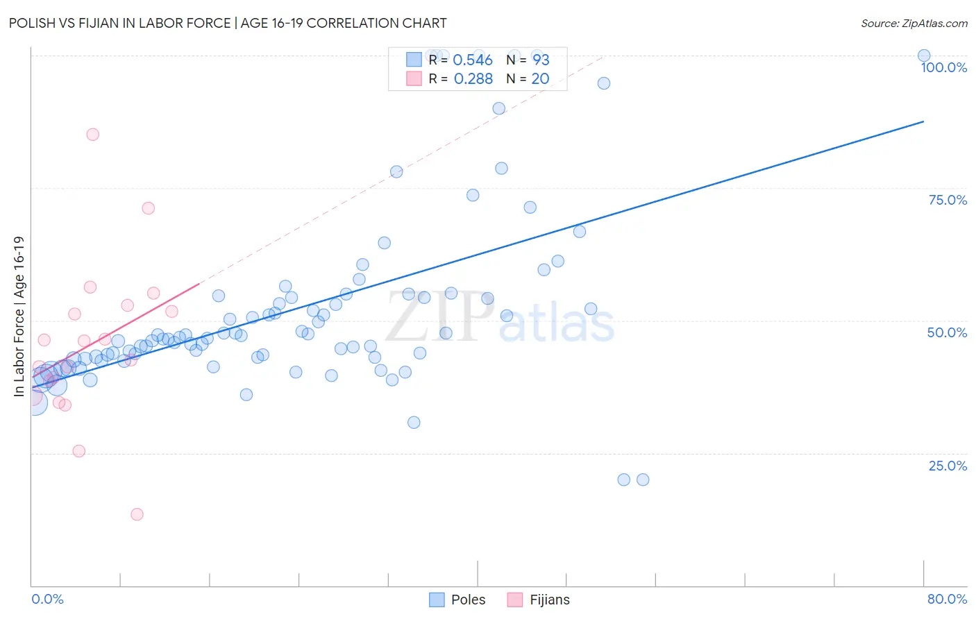 Polish vs Fijian In Labor Force | Age 16-19