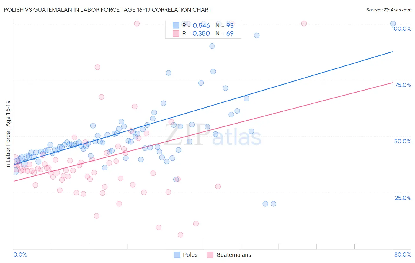 Polish vs Guatemalan In Labor Force | Age 16-19