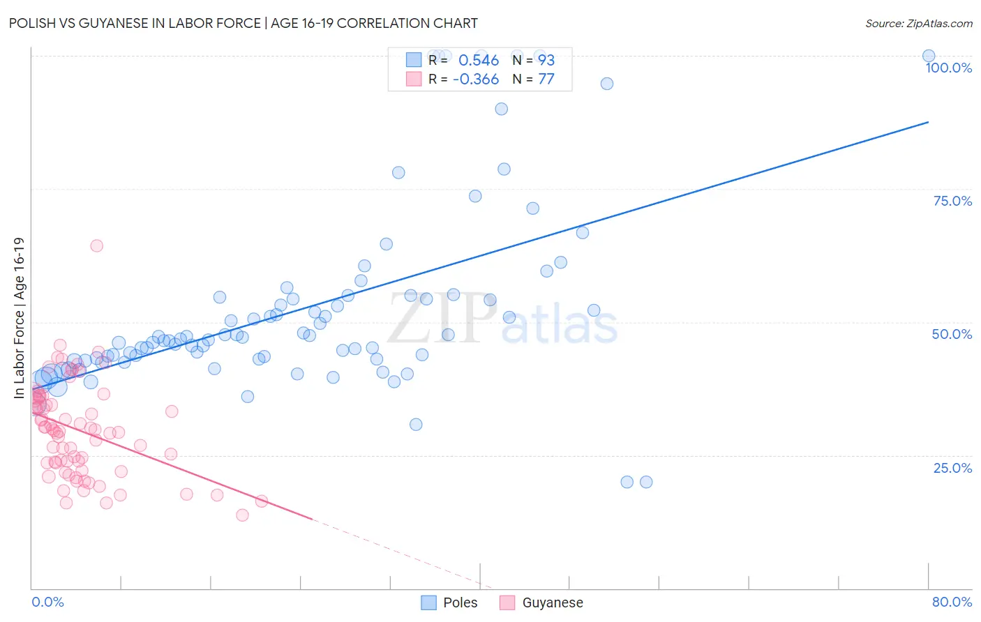 Polish vs Guyanese In Labor Force | Age 16-19