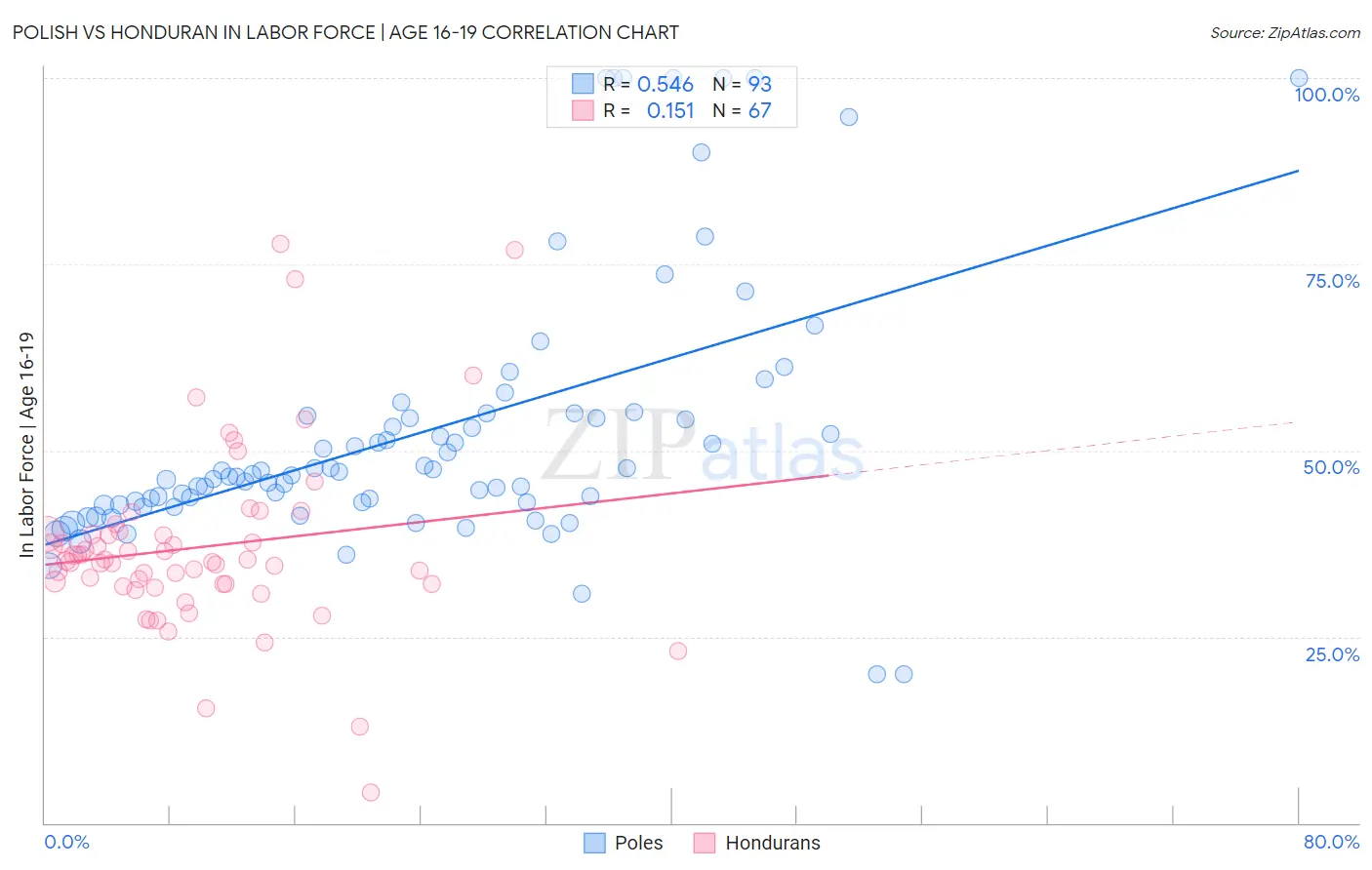 Polish vs Honduran In Labor Force | Age 16-19