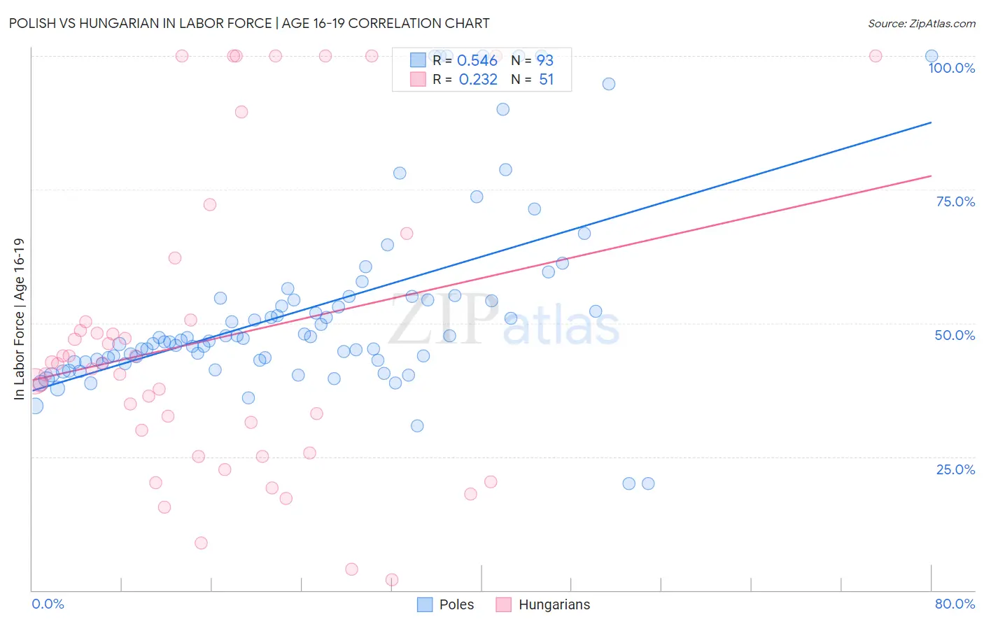 Polish vs Hungarian In Labor Force | Age 16-19