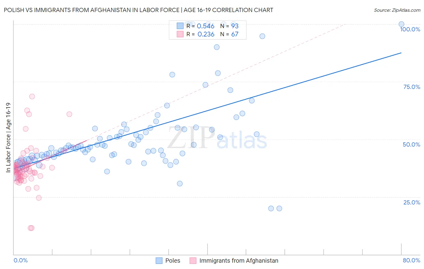Polish vs Immigrants from Afghanistan In Labor Force | Age 16-19