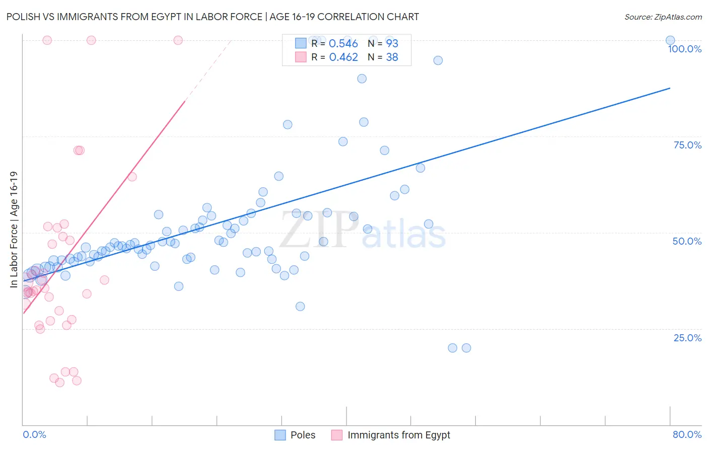 Polish vs Immigrants from Egypt In Labor Force | Age 16-19