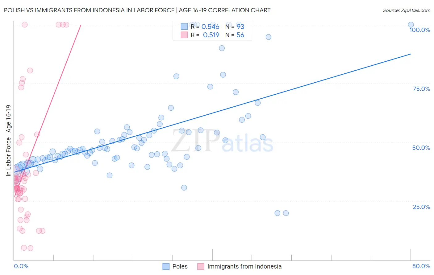 Polish vs Immigrants from Indonesia In Labor Force | Age 16-19