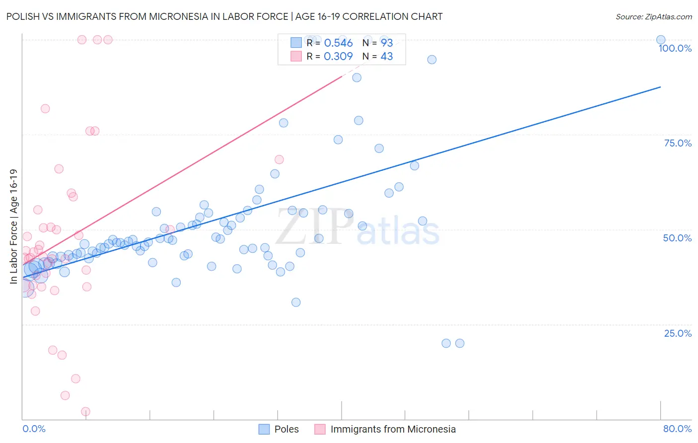 Polish vs Immigrants from Micronesia In Labor Force | Age 16-19
