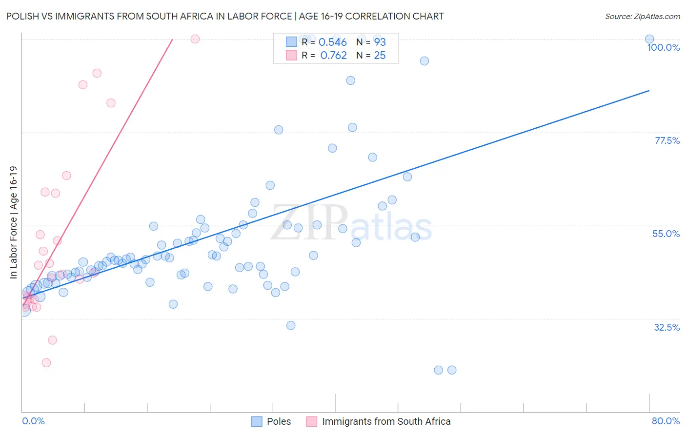 Polish vs Immigrants from South Africa In Labor Force | Age 16-19