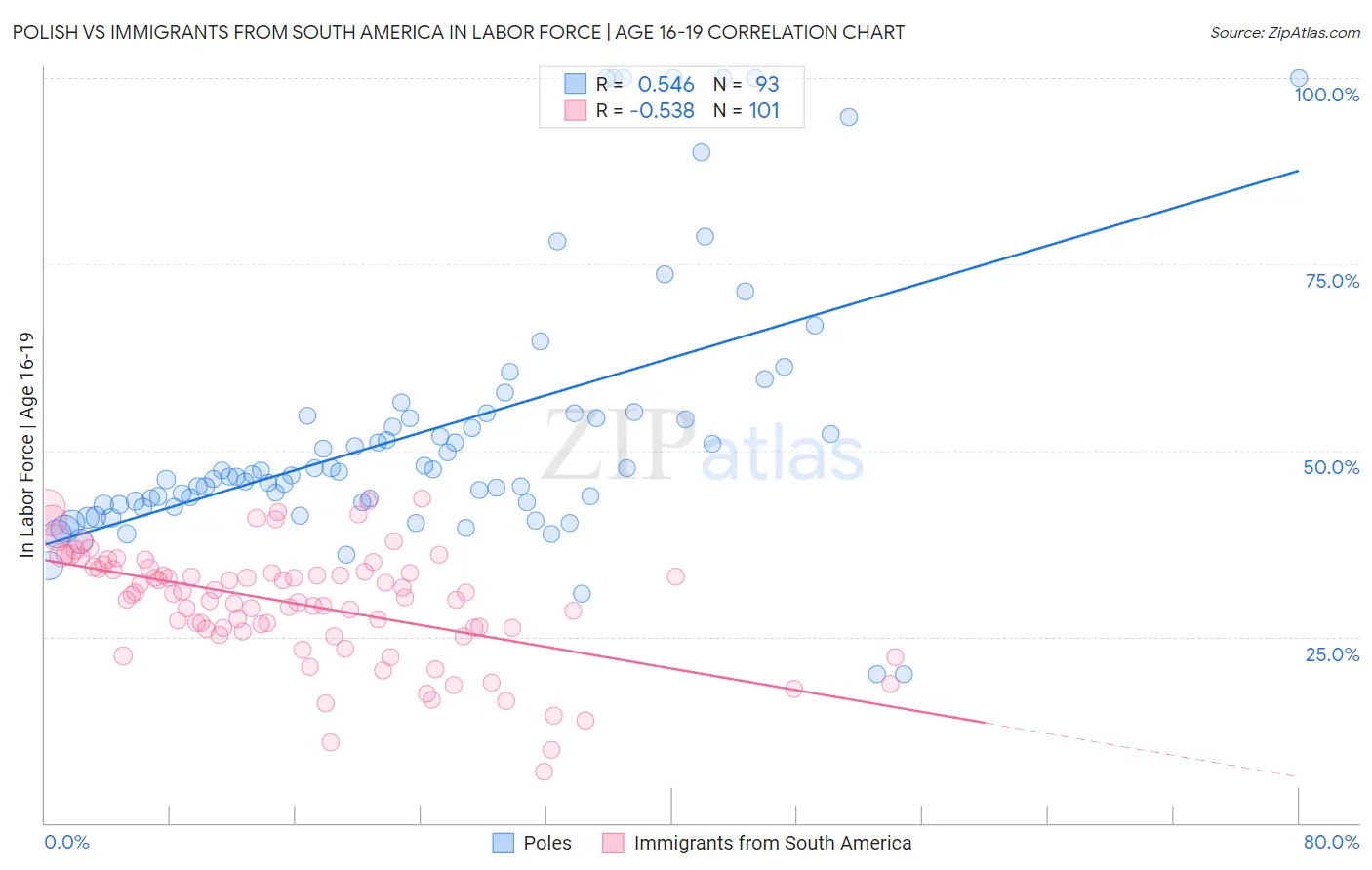 Polish vs Immigrants from South America In Labor Force | Age 16-19