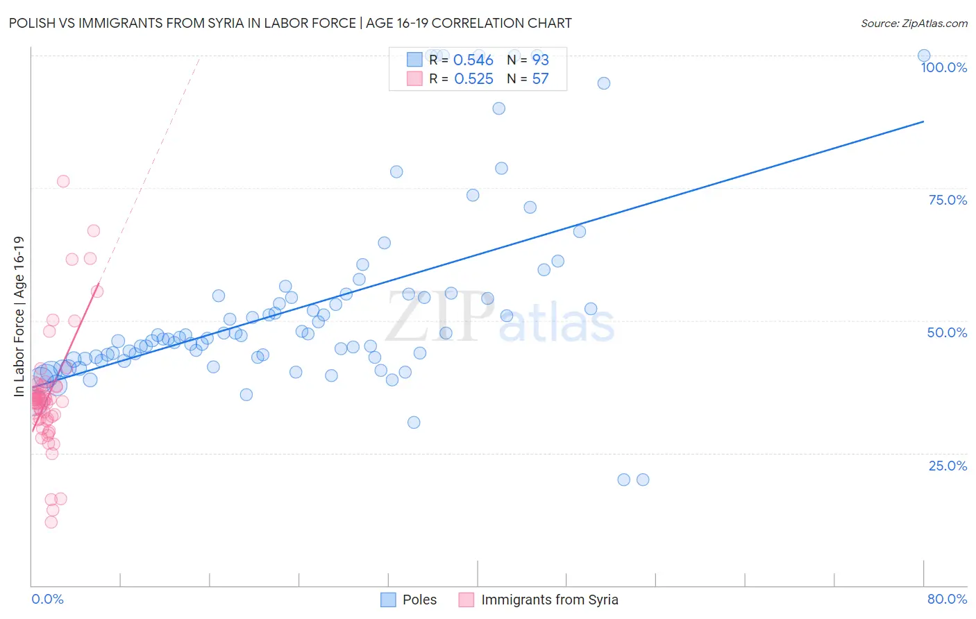 Polish vs Immigrants from Syria In Labor Force | Age 16-19
