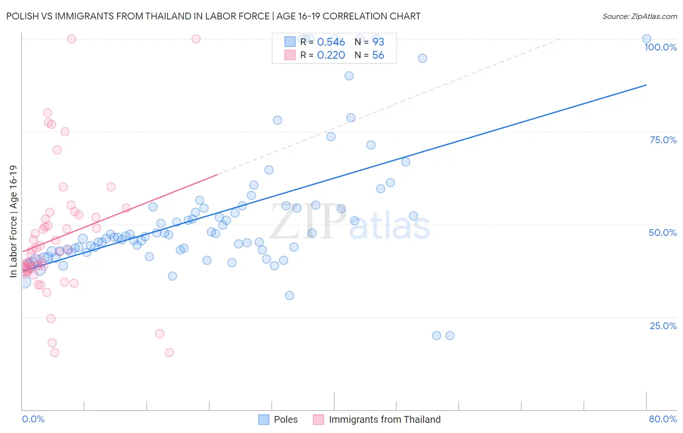 Polish vs Immigrants from Thailand In Labor Force | Age 16-19