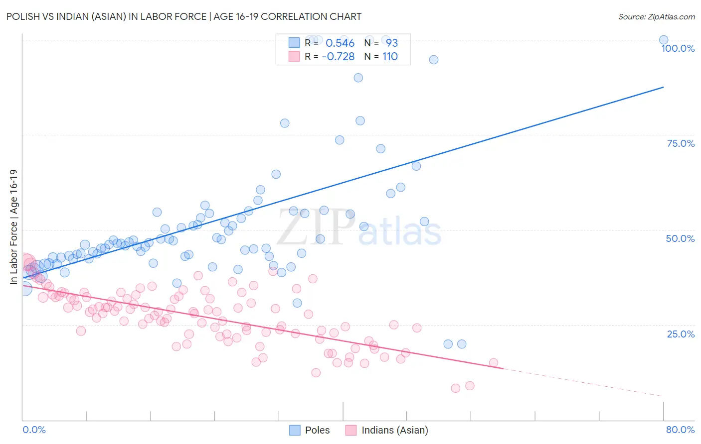 Polish vs Indian (Asian) In Labor Force | Age 16-19