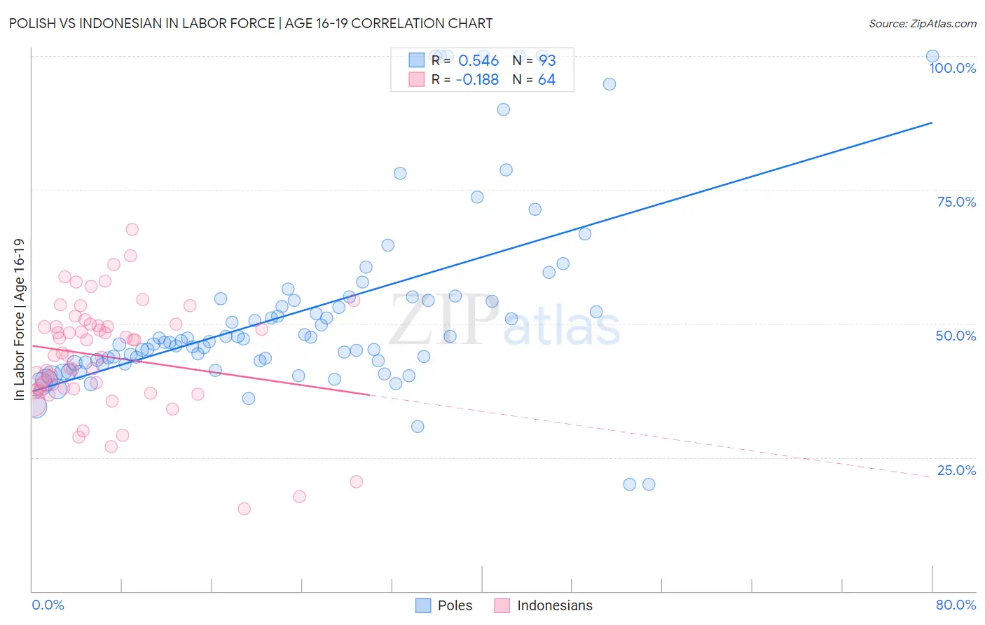 Polish vs Indonesian In Labor Force | Age 16-19