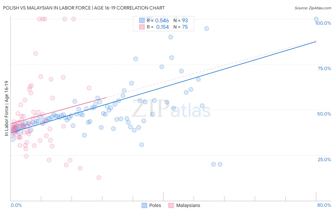 Polish vs Malaysian In Labor Force | Age 16-19