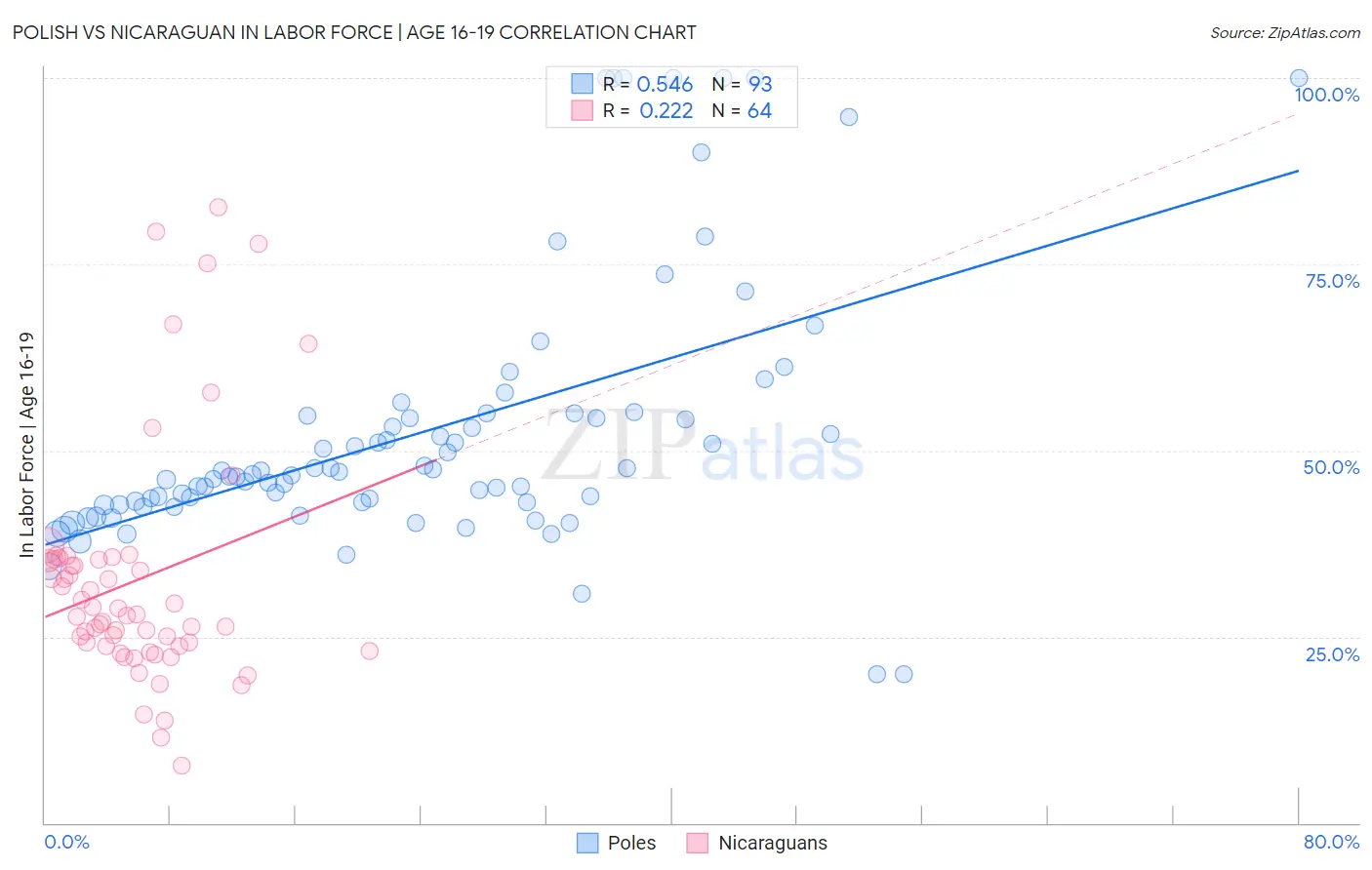 Polish vs Nicaraguan In Labor Force | Age 16-19