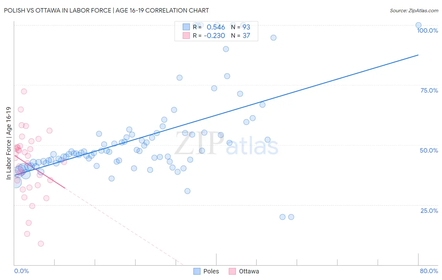 Polish vs Ottawa In Labor Force | Age 16-19