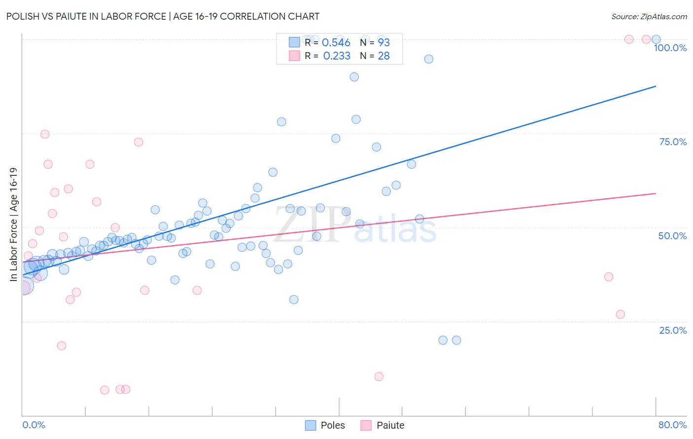 Polish vs Paiute In Labor Force | Age 16-19