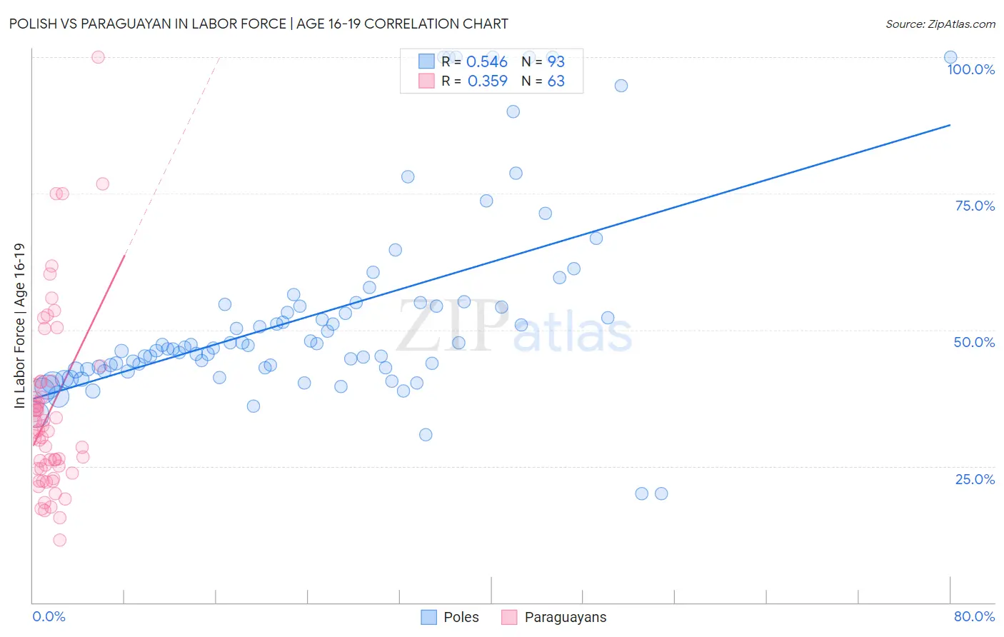 Polish vs Paraguayan In Labor Force | Age 16-19