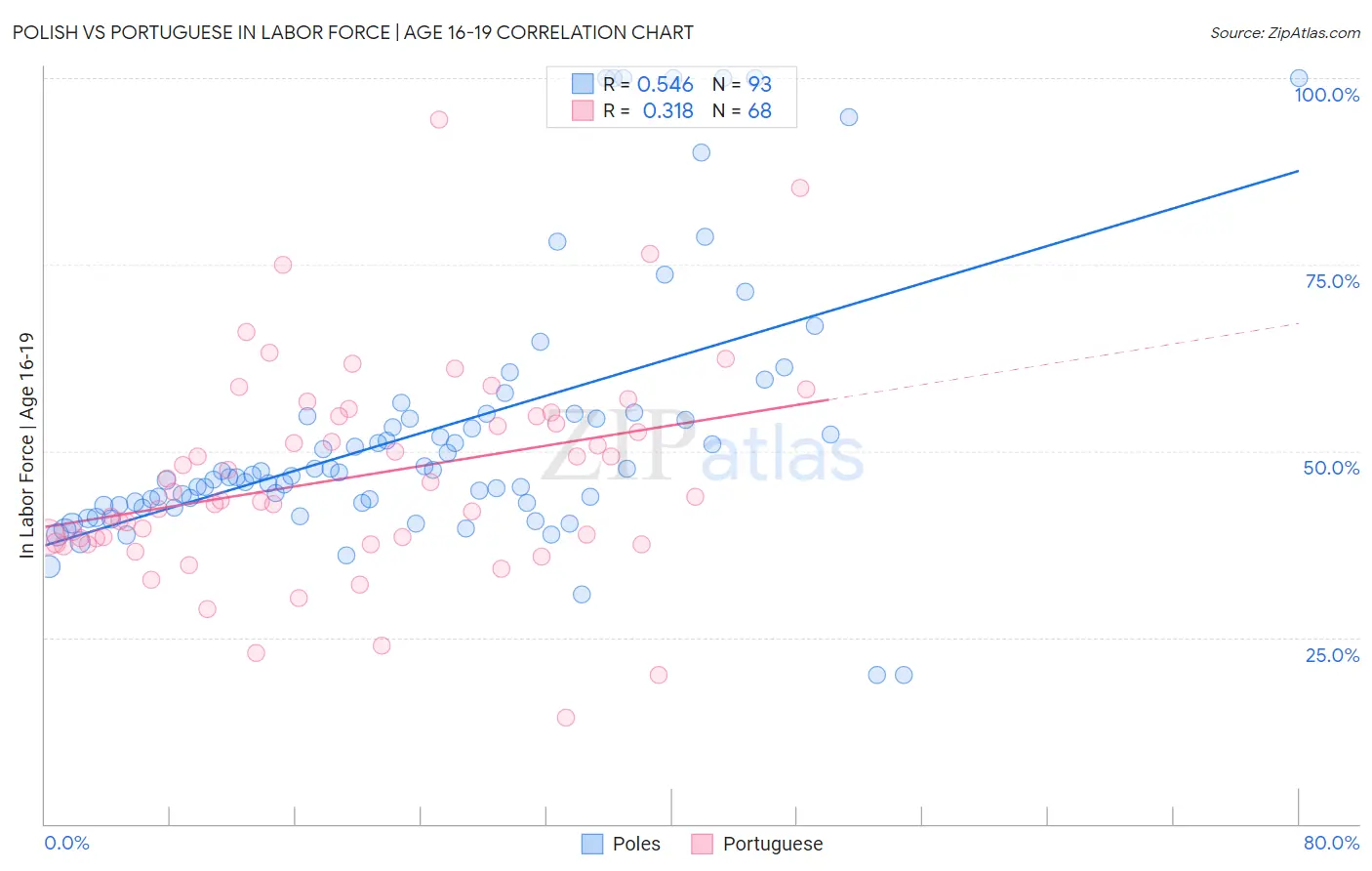 Polish vs Portuguese In Labor Force | Age 16-19