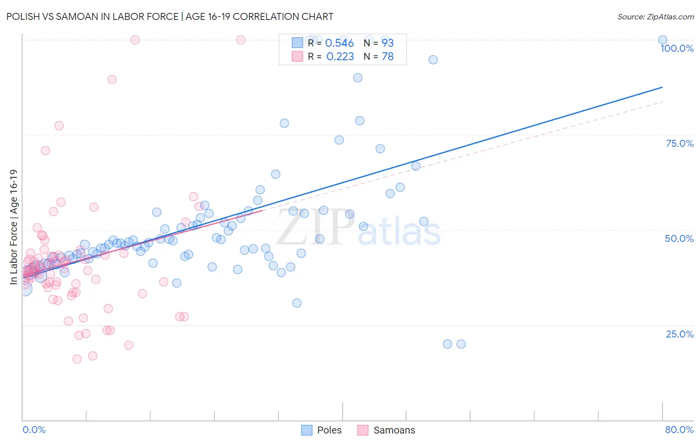 Polish vs Samoan In Labor Force | Age 16-19