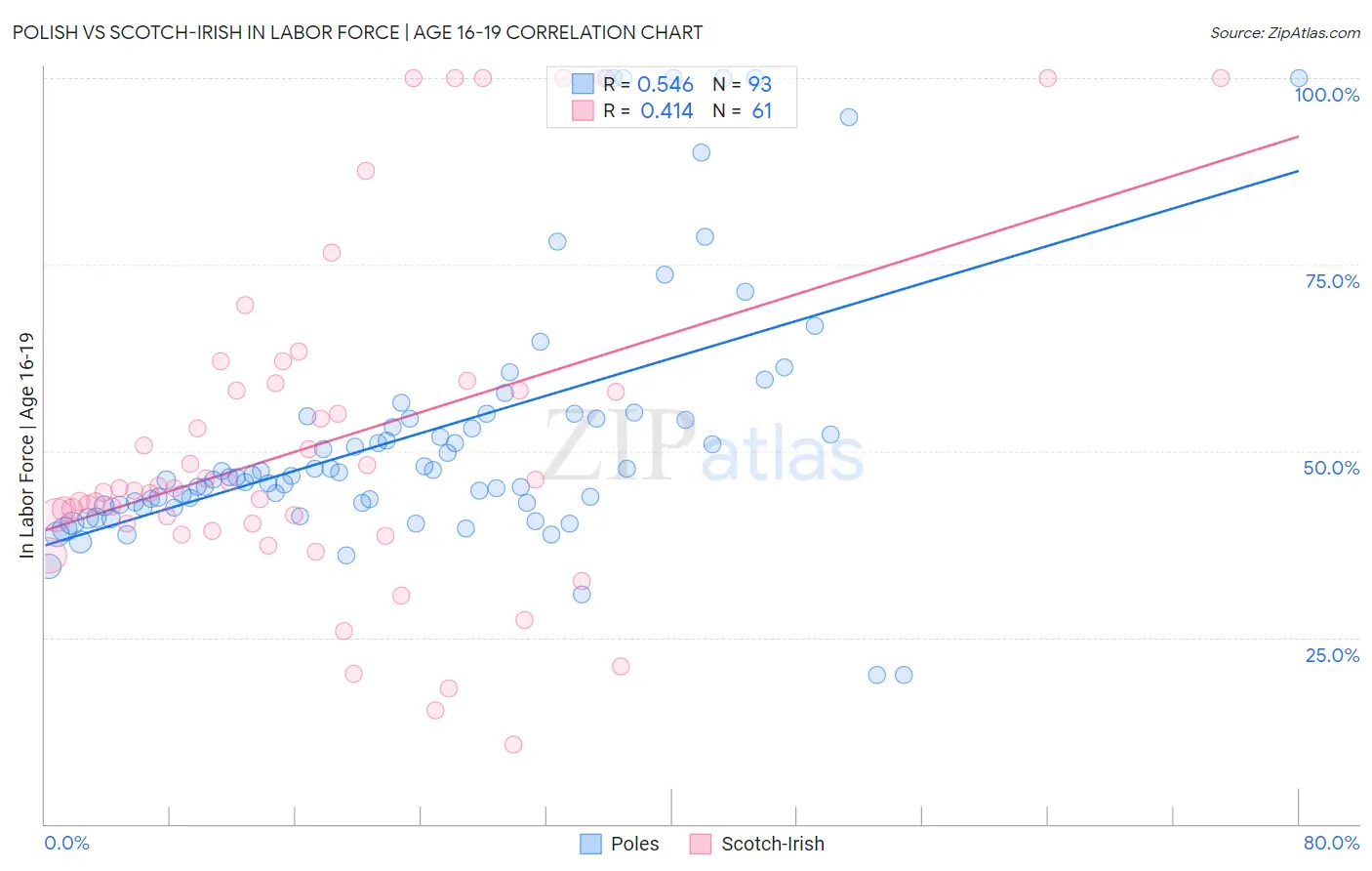 Polish vs Scotch-Irish In Labor Force | Age 16-19