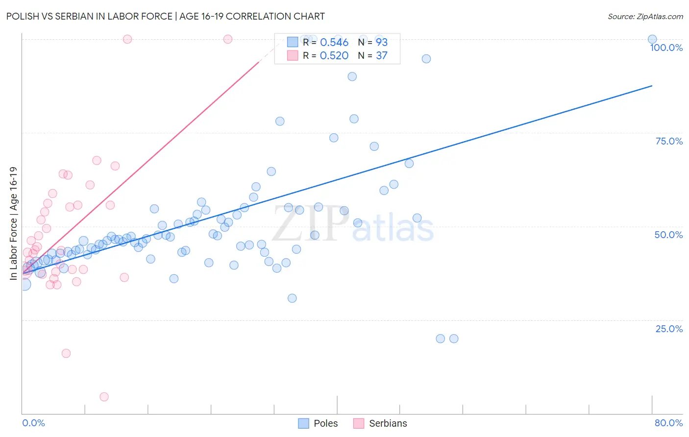 Polish vs Serbian In Labor Force | Age 16-19