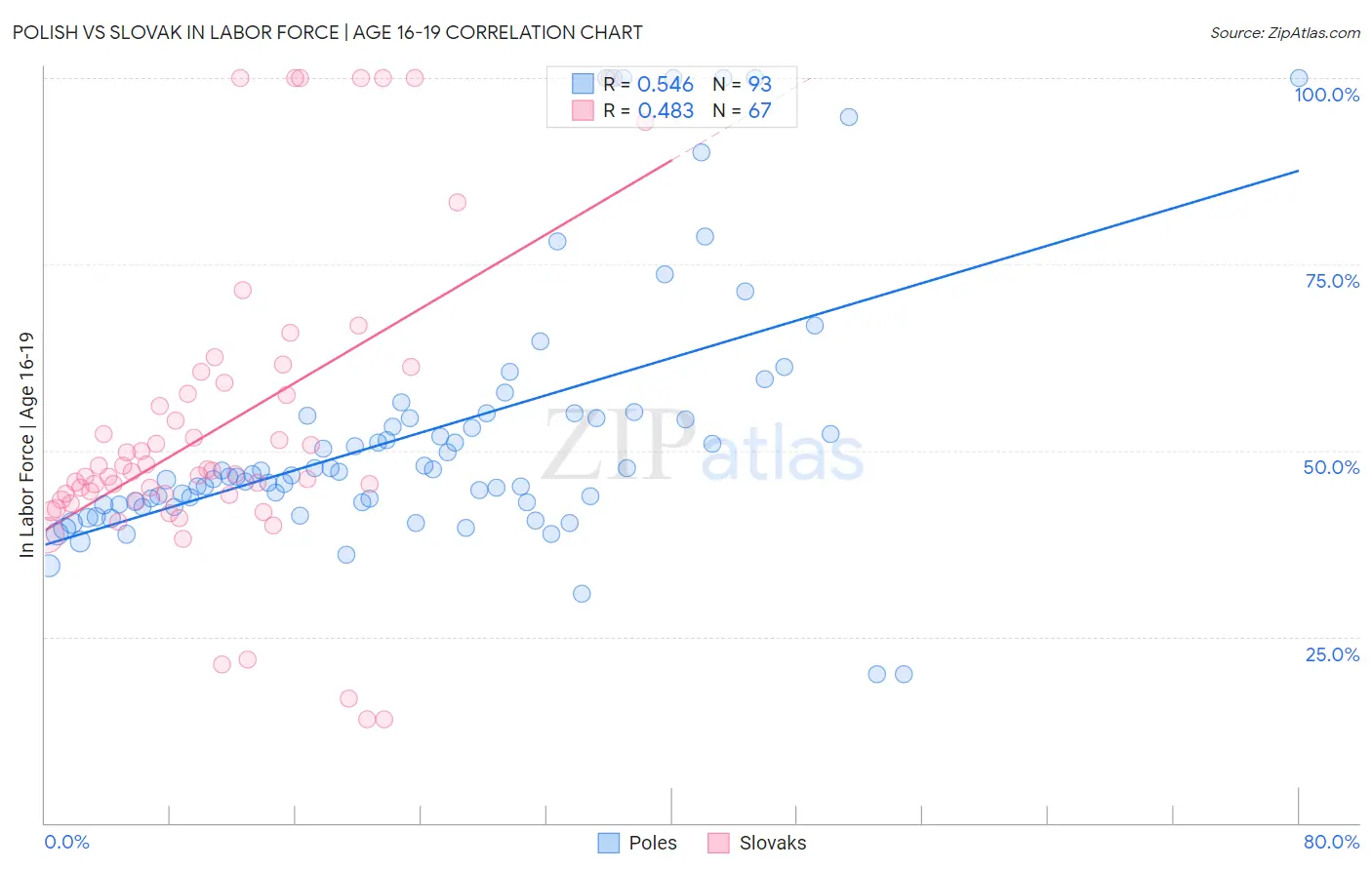 Polish vs Slovak In Labor Force | Age 16-19