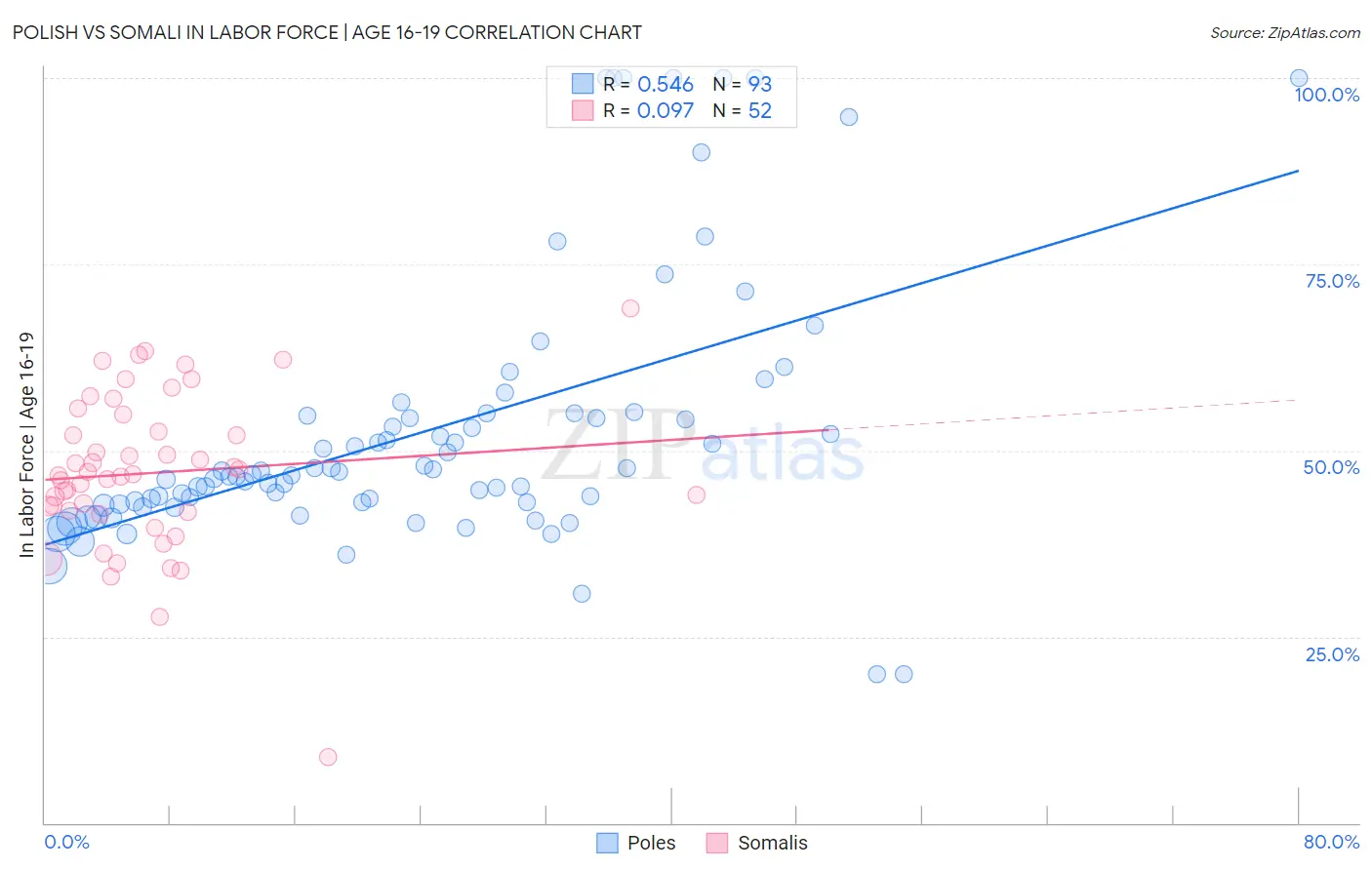 Polish vs Somali In Labor Force | Age 16-19
