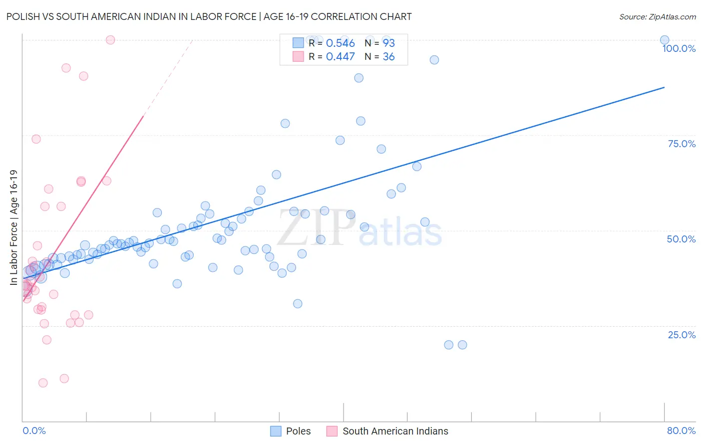 Polish vs South American Indian In Labor Force | Age 16-19
