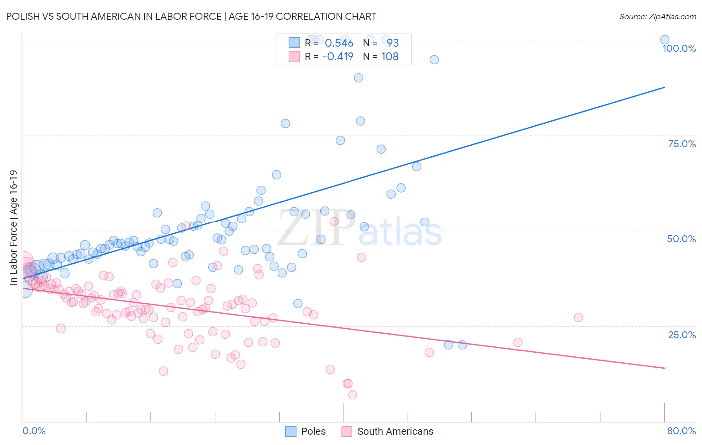 Polish vs South American In Labor Force | Age 16-19