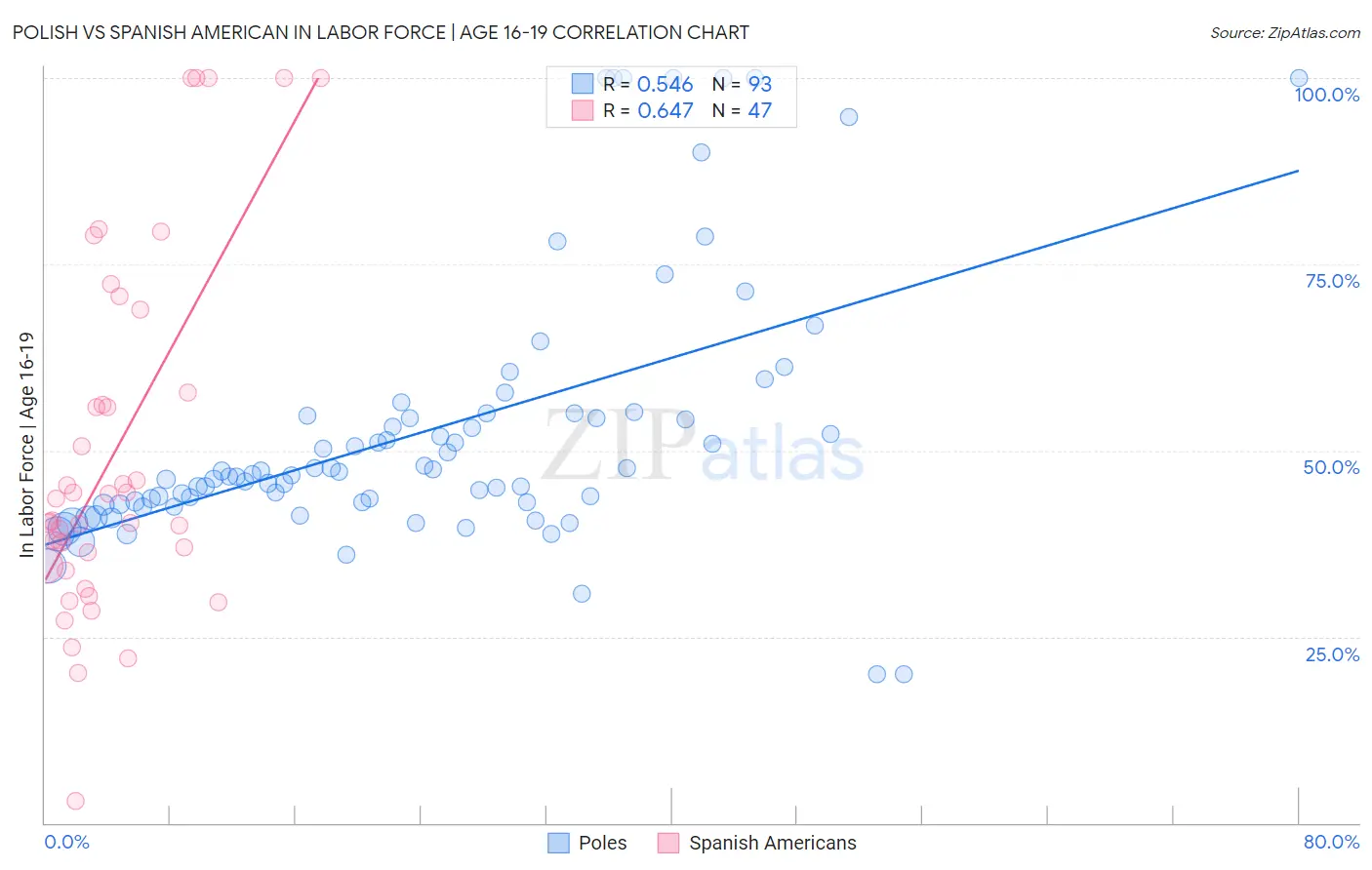 Polish vs Spanish American In Labor Force | Age 16-19