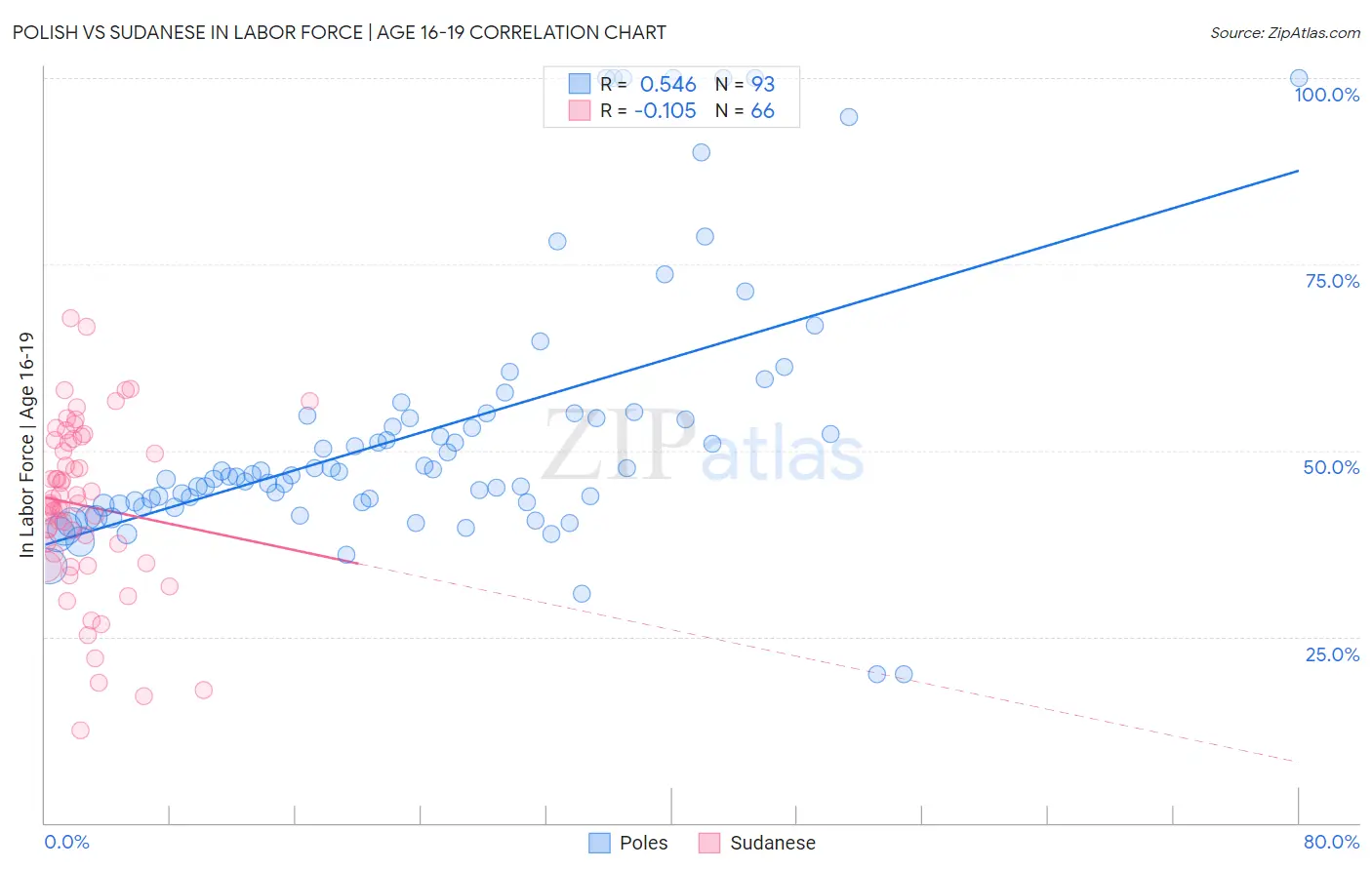 Polish vs Sudanese In Labor Force | Age 16-19